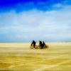 2008 Sylt
